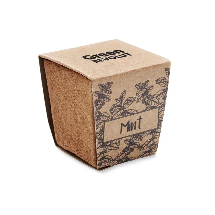 Mint seeds growing kit - MO2410 (MOCN#13)